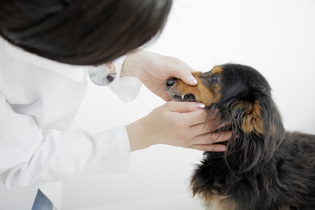  健康管理システムのご案内