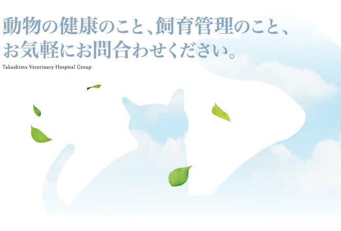 動物の健康のこと、飼育管理のこと、お気軽にお問い合わせください。